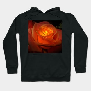 Inner light of a rose Hoodie